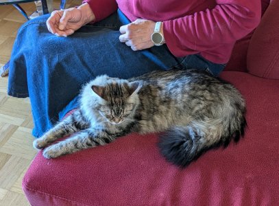 PXL_20240708_153843509.jpg PXL_20240708_153843509.jpg