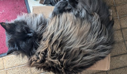 PXL_20240719_155950139.jpg PXL_20240719_155950139.jpg