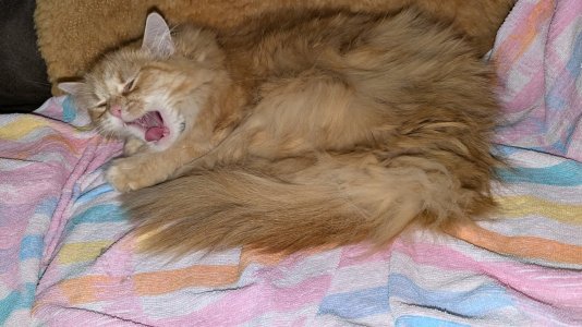 PXL_20240719_155923128.jpg PXL_20240719_155923128.jpg