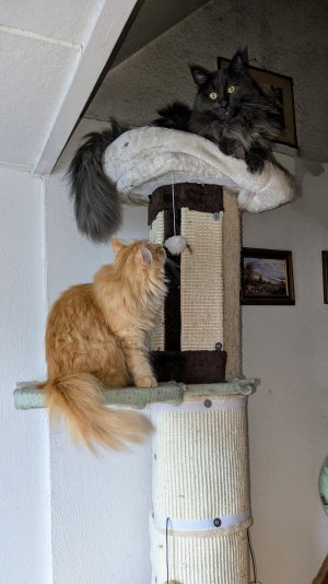 PXL_20240801_165114465~2.jpg PXL_20240801_165114465~2.jpg