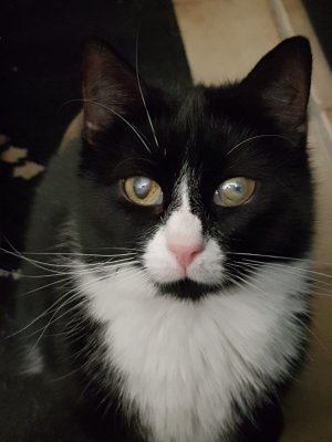 WhatsApp Bild 2022-05-03 um 23.43.42_7fd24d53.jpg