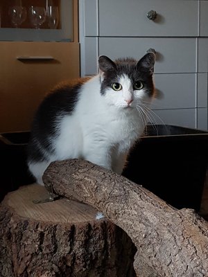 WhatsApp Bild 2023-07-23 um 20.29.25_45a665a7.jpg