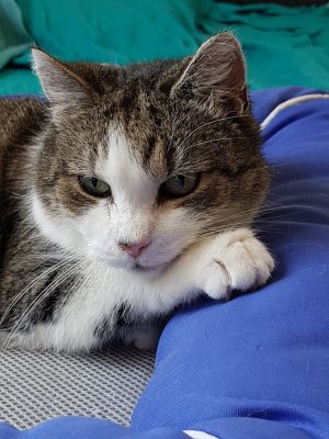 WhatsApp Bild 2023-07-18 um 12.41.16_d3c32efc.jpg WhatsApp Bild 2023-07-18 um 12.41.16_d3c32efc.jpg