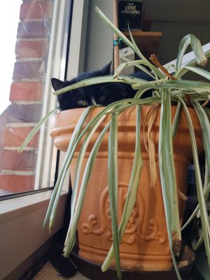 WhatsApp Bild 2022-03-11 um 15.05.36_197de5de.jpg