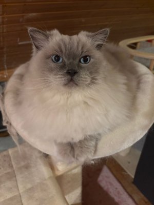 2024-10-23_21-19-55_000 (2024-10-24T18_05_14.234).jpg