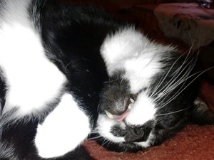 Kopie von P091211_12.43.jpg