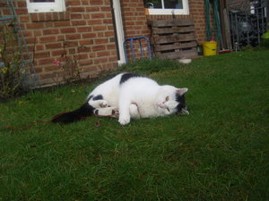 DSCI0012.JPG DSCI0012.JPG