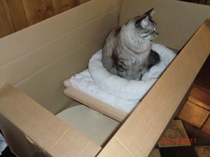 CIMG1211 [640x480].JPG