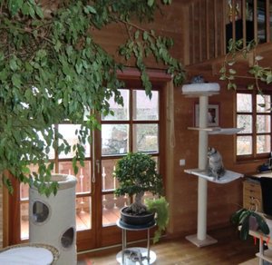 CIMG1227 [640x480].JPG