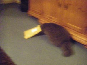 IMGP3262 (640x480).jpg