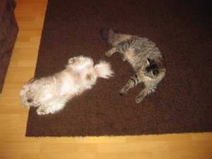 Lancelot 010_1094x821.jpg