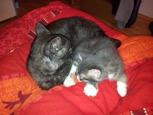 2011-12-18 16.10.25.jpg