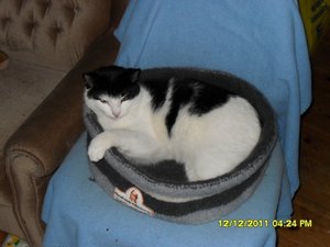 Zusammenführung der anderen Art 001 [800x600].jpg