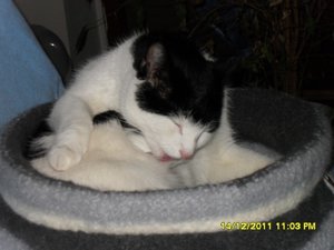 Zusammenführung der anderen Art 005 [800x600].jpg