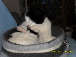 Zusammenführung der anderen Art 006 [800x600].jpg