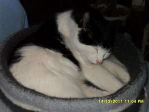 Zusammenführung der anderen Art 007 [800x600].jpg