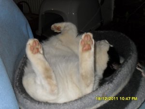 Zusammenführung der anderen Art 009 [800x600].jpg