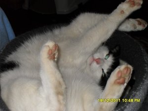 Zusammenführung der anderen Art 010 [800x600].jpg