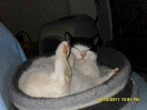 Zusammenführung der anderen Art 012 [800x600].jpg