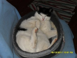 Zusammenführung der anderen Art 013 [800x600].jpg