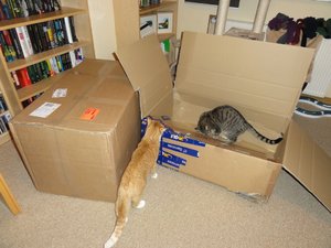 DSC01458 (1024x768).jpg