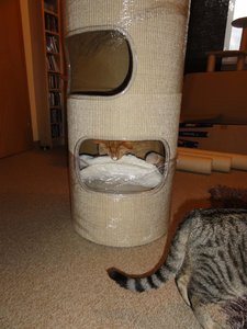 DSC01459 (768x1024).jpg