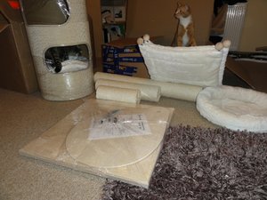 DSC01460 (1024x768).jpg