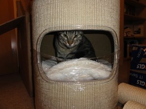 DSC01461 (1024x768).jpg