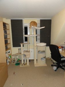 DSC01469 (768x1024).jpg