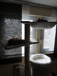 DSC01480 (768x1024).jpg