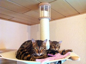 ImageUploadedByTapatalk HD1324648020.569574.jpg