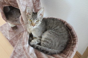 IMG_3243 - Kopie.JPG