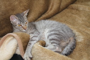 IMG_3302 - Kopie.JPG