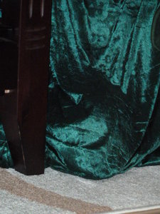 Flecki versteckt.jpg