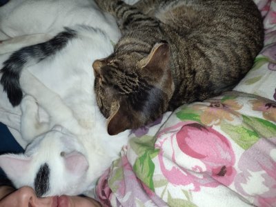 WhatsApp Bild 2024-11-23 um 19.08.23_0fb2a334.jpg