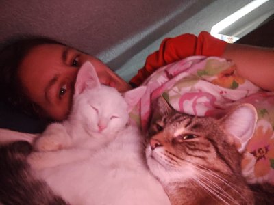 WhatsApp Bild 2024-11-23 um 19.08.23_0be6413b.jpg