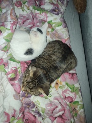 WhatsApp Bild 2024-11-23 um 19.17.48_b36b5604.jpg