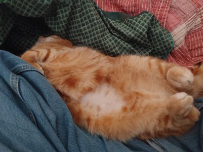 20241130_141811.jpg 20241130_141811.jpg