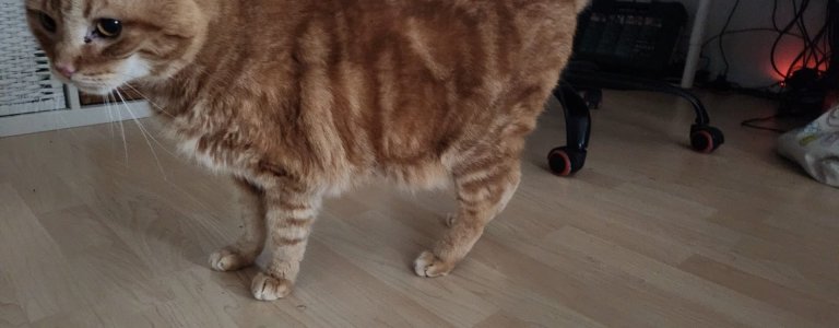 WhatsApp Bild 2024-12-08 um 14.36.33_4c1e2dde.jpg