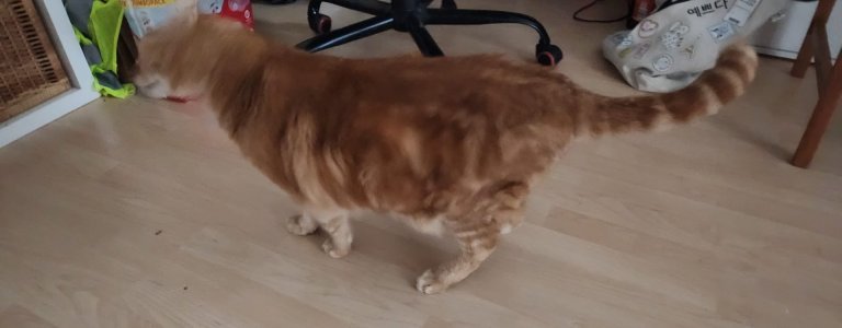 WhatsApp Bild 2024-12-08 um 14.36.33_48a8af89.jpg