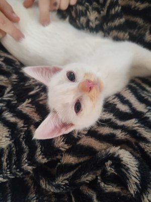 WhatsApp Bild 2024-10-26 um 11.47.19_ef655dad.jpg