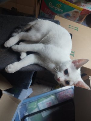 WhatsApp Bild 2024-12-10 um 09.44.40_f11952aa.jpg