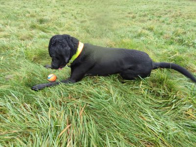 WhatsApp Bild 2024-12-15 um 12.13.19_b736c937.jpg