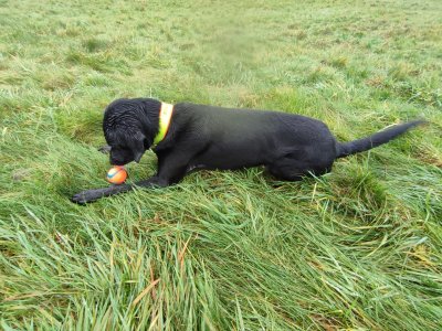 WhatsApp Bild 2024-12-15 um 12.13.20_559518fd.jpg