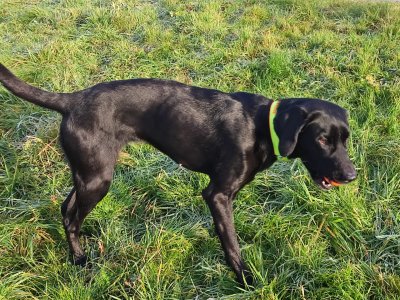 WhatsApp Bild 2024-12-14 um 10.47.06_eb8b9580.jpg