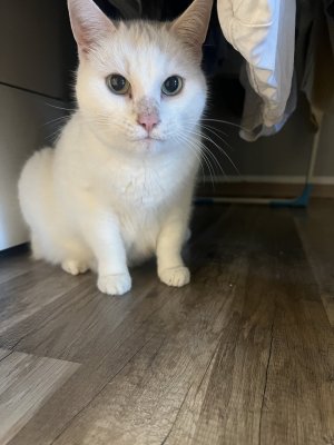 IMG_5068.jpeg IMG_5068.jpeg