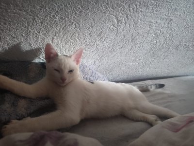 WhatsApp Bild 2025-01-08 um 17.43.37_394fd00b.jpg