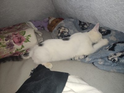 WhatsApp Bild 2025-01-09 um 23.42.10_d091a17e.jpg