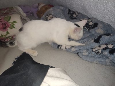 WhatsApp Bild 2025-01-09 um 23.42.10_93a49fe2.jpg