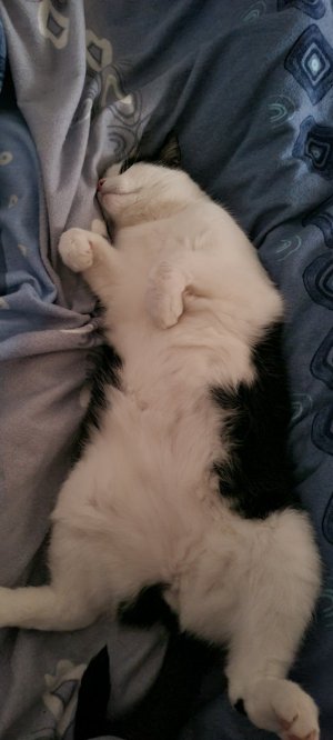 20240316_125917 (002).jpg